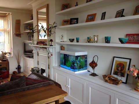 alcove cabinets